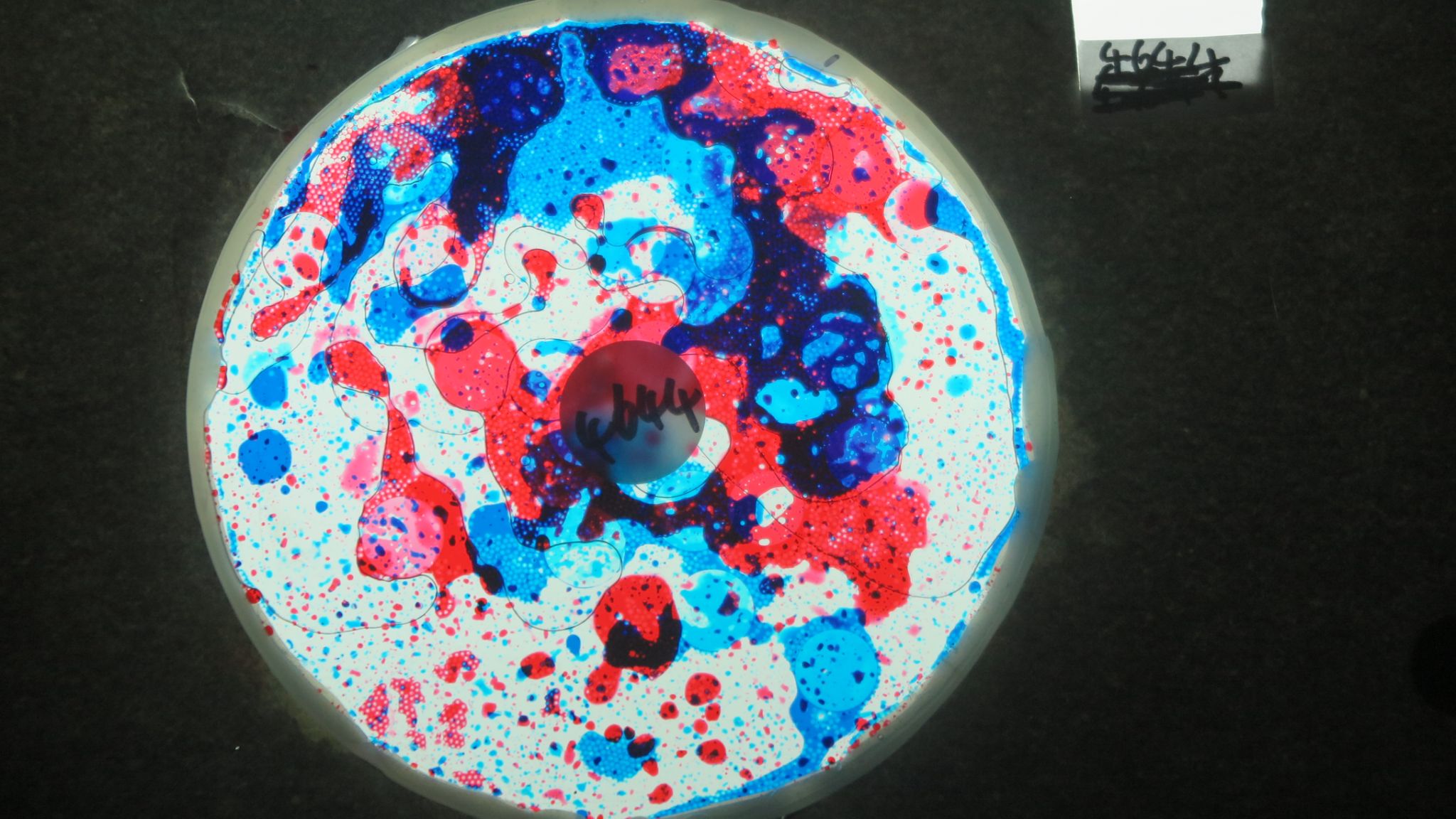 BV4644 bubble vision oil wheel